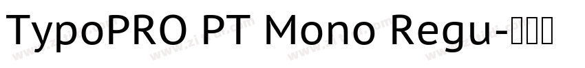 TypoPRO PT Mono Regu字体转换